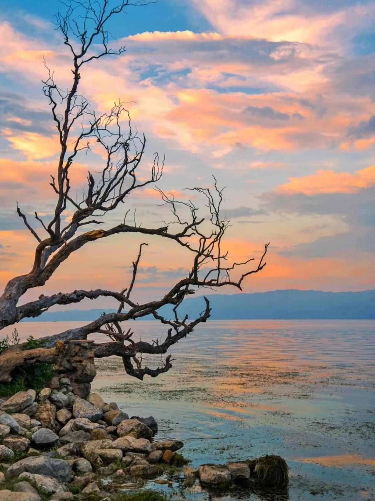 Dali Nest Secret Garden Lake View Inn Экстерьер фото