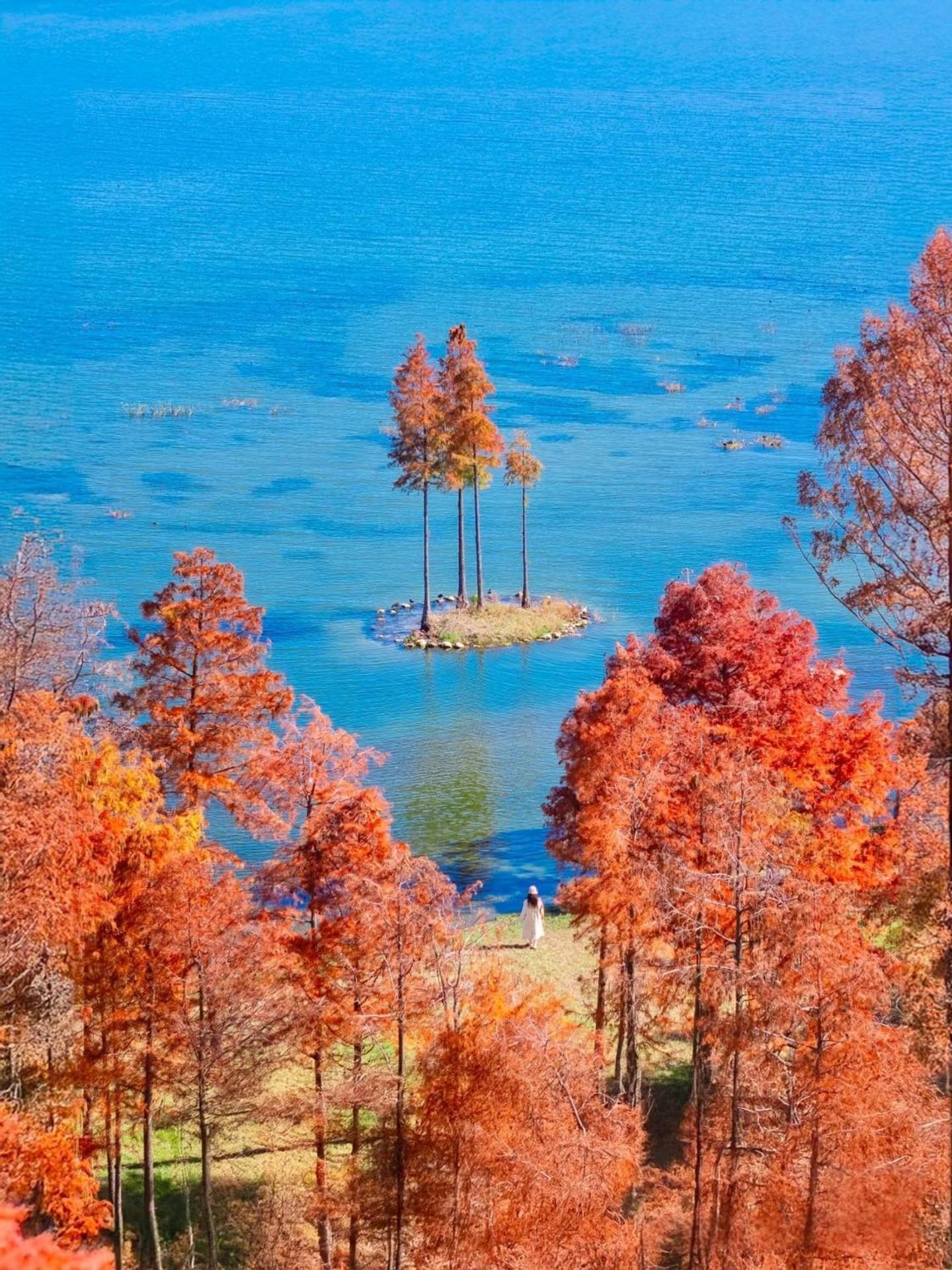 Dali Nest Secret Garden Lake View Inn Экстерьер фото